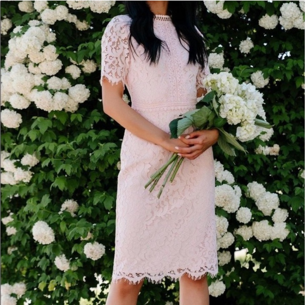 Rachel Parcell Blush Lace Midi Dress